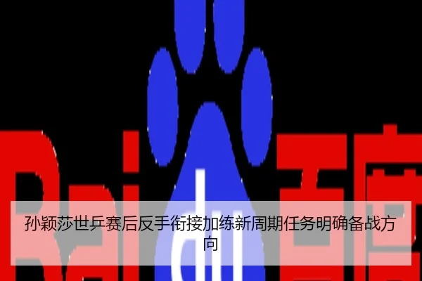 孙颖莎世乒赛后反手衔接加练新周期任务明确备战方向