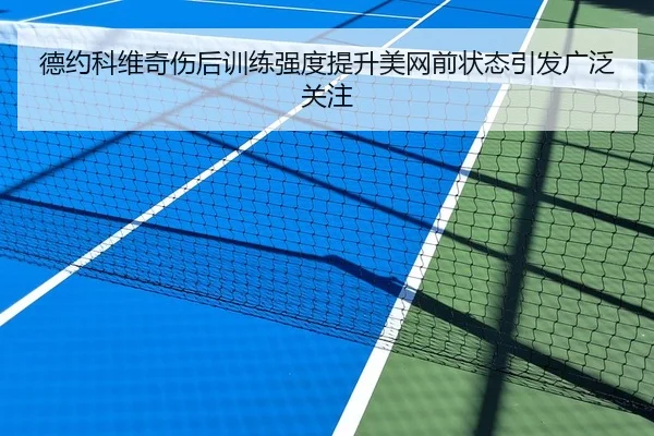 德约科维奇伤后训练强度提升美网前状态引发广泛关注
